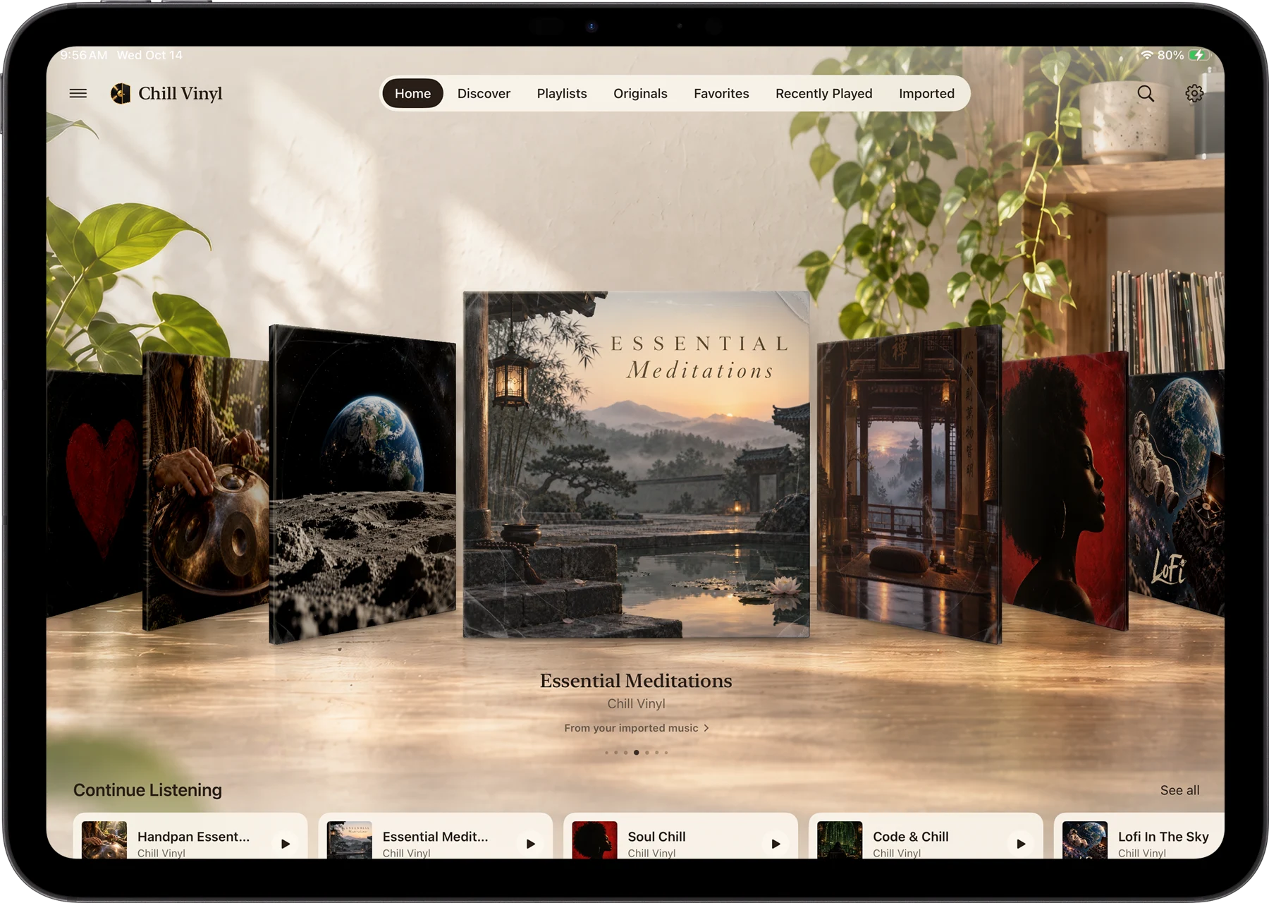 Albums displayed like a record collection in the Chill Vinyl library on iPad